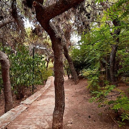 Myth2 - Hike Around Ancient Panathenaic Stadium Near Metro With View Of Big Park Leilighet Eksteriør bilde