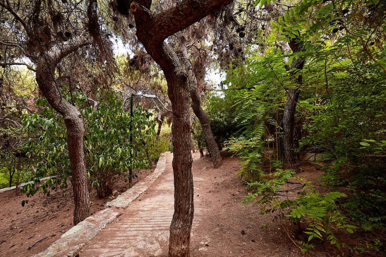 Myth2 - Hike Around Ancient Panathenaic Stadium Near Metro With View Of Big Park Leilighet Eksteriør bilde