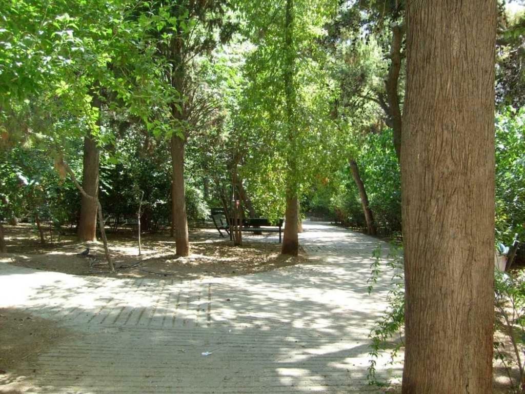 Myth2 - Hike Around Ancient Panathenaic Stadium Near Metro With View Of Big Park Leilighet Eksteriør bilde