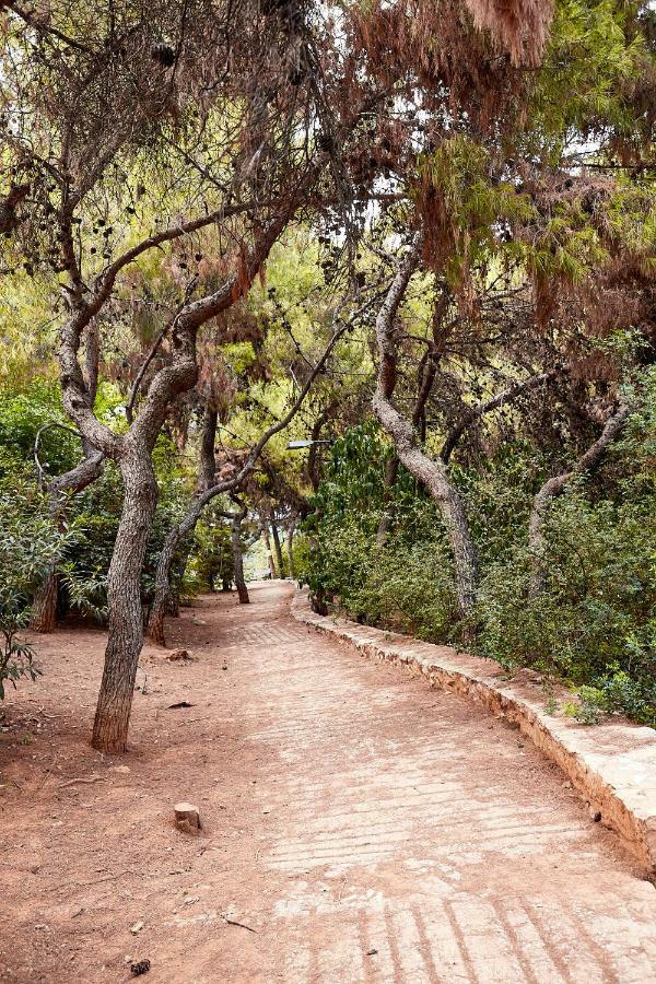 Myth2 - Hike Around Ancient Panathenaic Stadium Near Metro With View Of Big Park Leilighet Eksteriør bilde