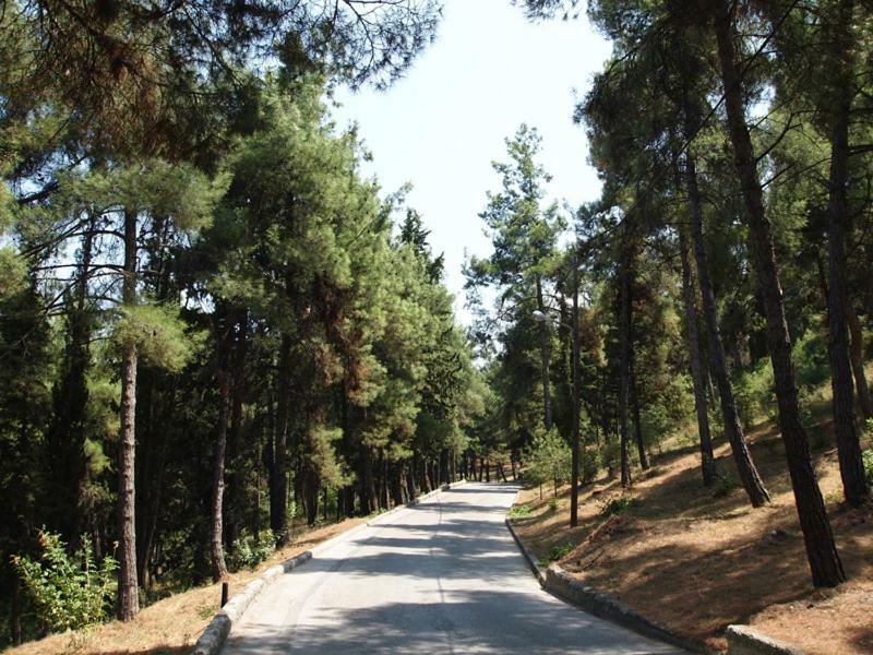 Myth2 - Hike Around Ancient Panathenaic Stadium Near Metro With View Of Big Park Leilighet Eksteriør bilde