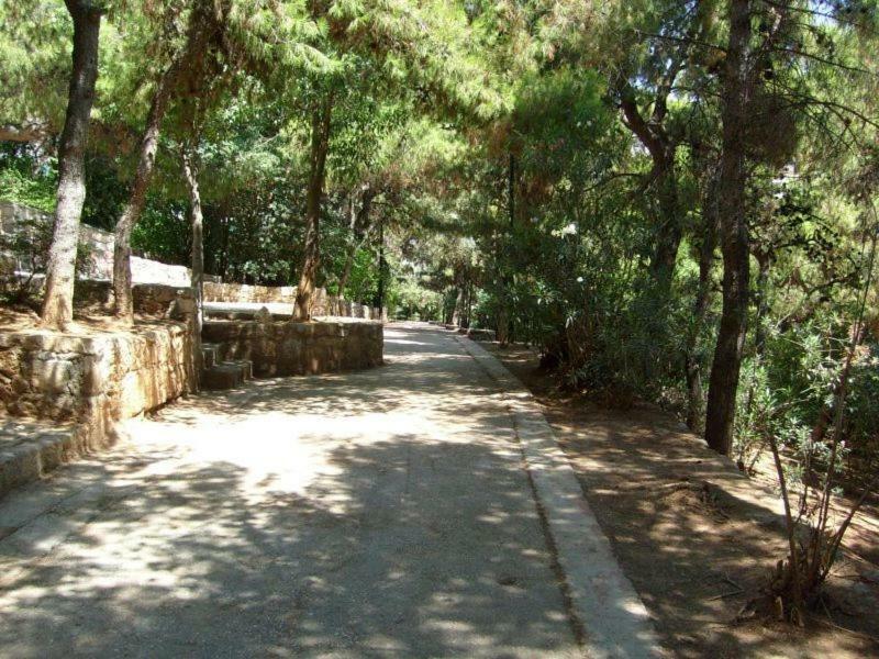 Myth2 - Hike Around Ancient Panathenaic Stadium Near Metro With View Of Big Park Leilighet Eksteriør bilde